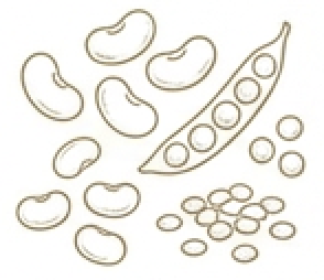 Bønner, ærter & linser